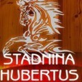 stadnina hubertus