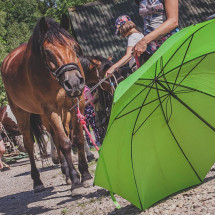 ZOOPSYCHOLOG/BEHAWIORYSTA PAZiA - specjalizacja KONIE