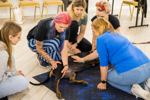 Warsztaty Praktyczne DogFitness - Świadomość ciała i łap